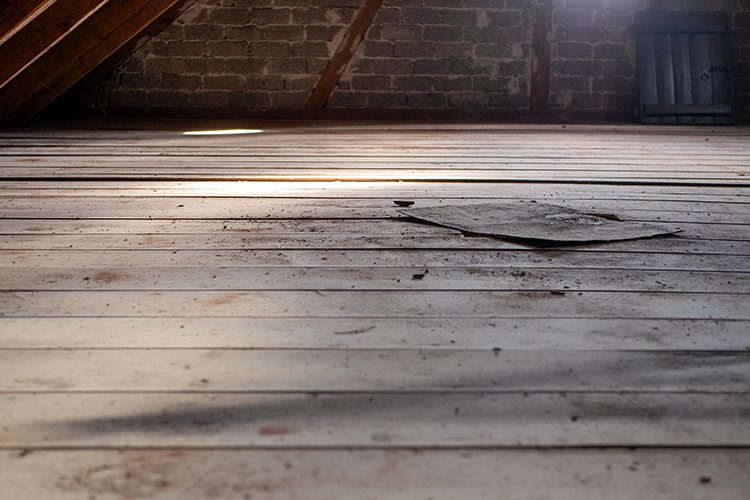 die Verwandlung Architektur und Funktion